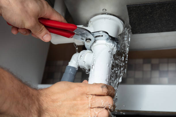 Best Flooded house restoration  in Willard, MO