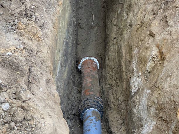 Willard, MO Water damage restoration Pros