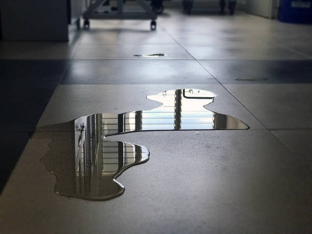 Best Water damage restoration near me  in Willard, MO