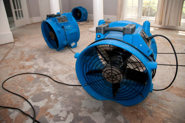 Best Residential water damage restoration  in Willard, MO