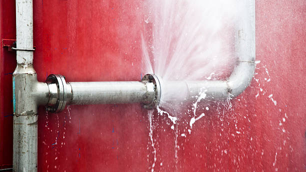 Best Ceiling water damage repair  in Willard, MO
