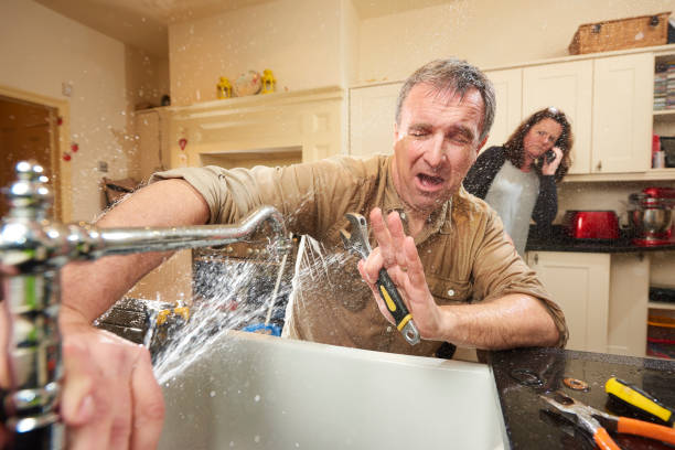 Best 24/7 water damage repair  in Willard, MO